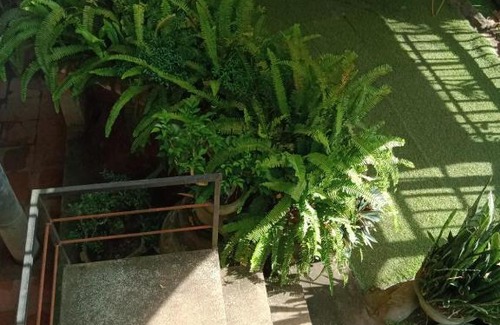 Thuy Xuan Bed & Breakfast | Le Home