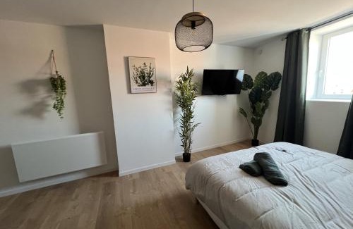 Lens Apartment | Le Jardin Botanique