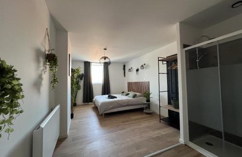 Lens Apartment | Le Jardin Botanique