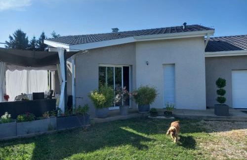 Yssingeaux House | Le jardin de joce