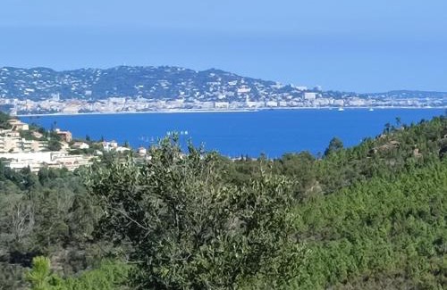 Mandelieu-La-Napoule Apartment | Le JASMIN