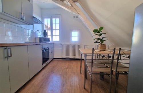 Chinon Apartment | Le Jeanne d'Arc