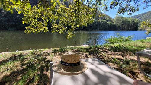 Grand-Vabre Bed & Breakfast | Le Manoir des Pélies Gîte et Chambres d'hôtes de charme à 7kms de Conques Spa, Piscine, Rivière, Thermes de Cransac