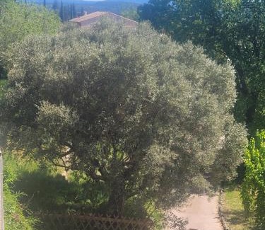 Lorgues Bed & Breakfast | Le mas Les Salamandres