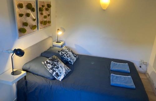 Minimes - Barriere de Paris Apartment | Le Merle Rose