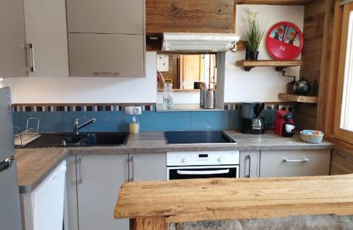 Les Gets Apartment | Le Montana - Studio rue du Centre - Cosy et Montagnard - Navette