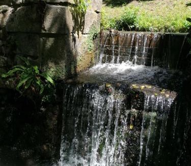 Saint-Georges-sur-Cher Bed & Breakfast | Le moulin du Mesnil