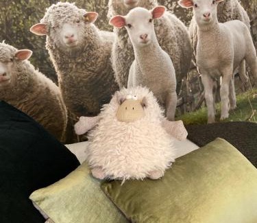 Aubagne Apartment | Le Mouton à 5 Pattes Aubagne-Cassis-Aix en Provence