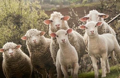 Aubagne Apartment | Le Mouton à 5 Pattes Aubagne-Cassis-Aix en Provence
