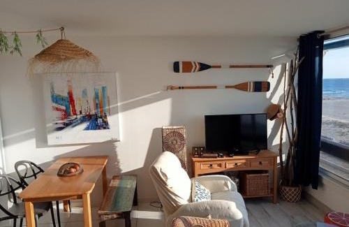 Saint-Cyprien Plage Apartment | Le Paradis Bleu !
