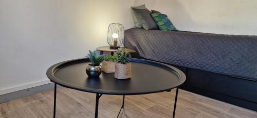 Mont-de-Marsan Apartment | Le petit Jungle - hyper centre