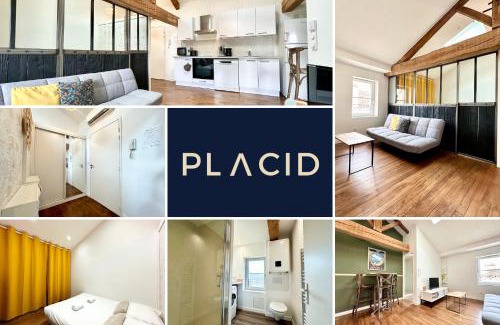 Mont-de-Marsan Apartment | Le Petit Landais - Chaleureux - Clim - Central