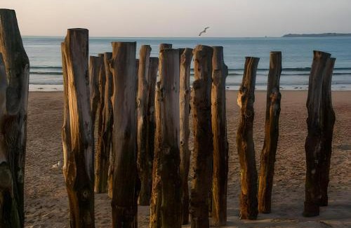 Saint-Servan Apartment | Le Petit Port