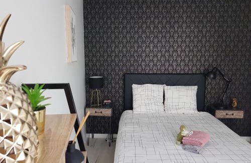 Saint-Serge Apartment | Le Pompidou T2 pour 2 à 4 pers avec parking privé & balcon Place Ney