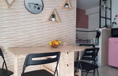 Saint-Serge Apartment | Le Pompidou T2 pour 2 à 4 pers avec parking privé & balcon Place Ney