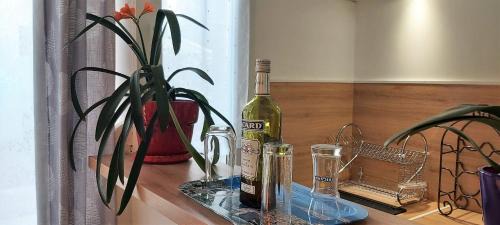Opera Apartment | Le Pytheas Vieux Port Marseille