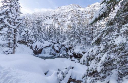Cauterets Ski Chalet | Le Refuge des Isards - Chalet familial
