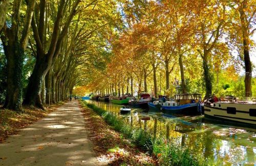 Beziers Apartment | Le Repos du Canal Wifi Parking Piscine Terasse
