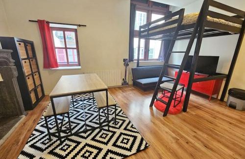 Clermont-Ferrand Apartment | Le Rodade #Quartier Historique#Calme