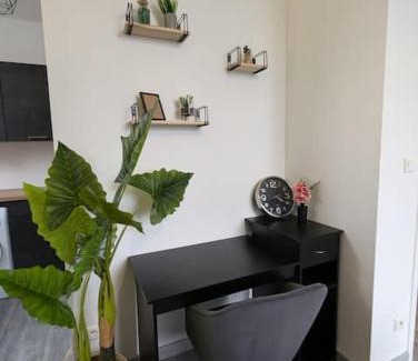 Chinon Apartment | Le Ronsard, vue sur forteresse