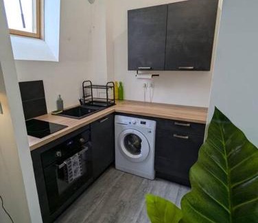 Chinon Apartment | Le Ronsard, vue sur forteresse