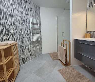 Downtown Angers Apartment | Le Standing, hyper centre T2