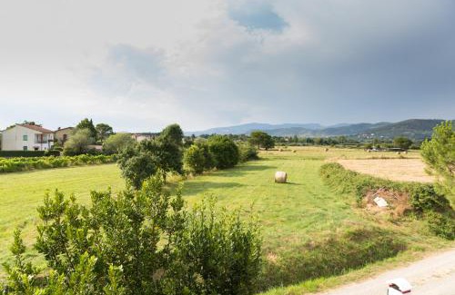 Badiaccia Apartment | Le stelle della Badiaccia - Venere - Lago Trasimeno