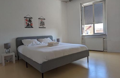 Mulhouse Apartment | Le Thannois - appartement 2 chambres, salon, cuisine équipée, parking et wifi gratuit