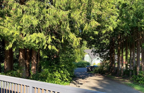 Kingston House | Leaning Spruce Cottage | House in Kingston
