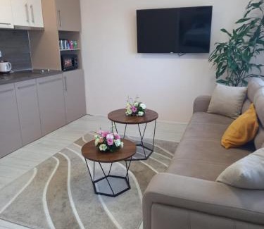 Smederevo Apartment | LEDA Apartmani