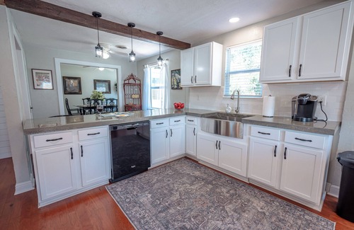 Ocala Other | Lemonade Acres, Where Horses Stay for Free!
