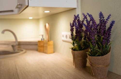 Viljandi Apartment | Leola Center Apartment