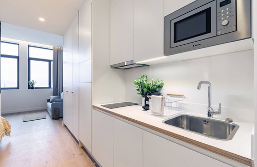 Secteur 2 Apartment | Les Appartements de Grenoble