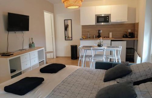 Marmande Apartment | Les Apparts de Marmande - Appart Cosy, centre de Marmande