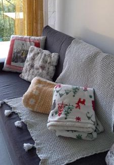 Bourg-Saint-Maurice Apartment | les campanules
