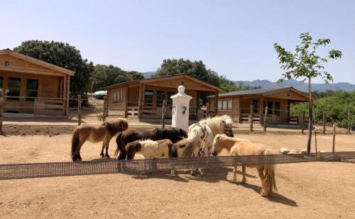 Occhiatana Bed & Breakfast | Les Chalets De Tesa 4