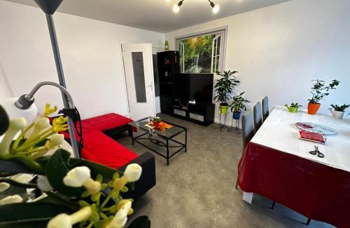 Clermont-Ferrand Apartment | Les Dômes du Parc 4e App T3 et T1 proche de toutes commodités