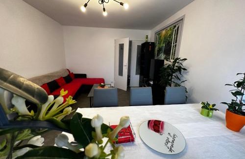 Clermont-Ferrand Apartment | Les Dômes du Parc 4e App T3 et T1 proche de toutes commodités