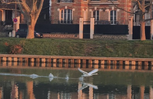 Lagny-sur-Marne Villa | Les Flolies on the banks of the Marne: Character villa - Disney - Paris