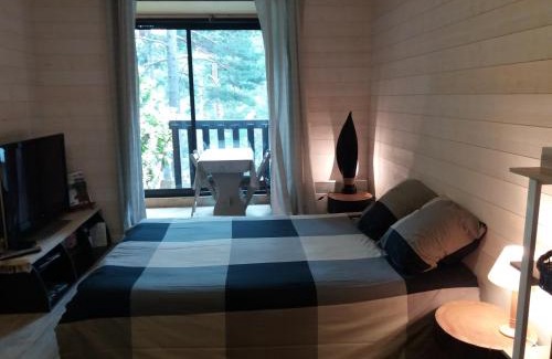 La Colmiane Apartment | Les Genets