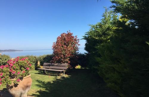 Saint-Florent Villa | Les Lauriers Roses