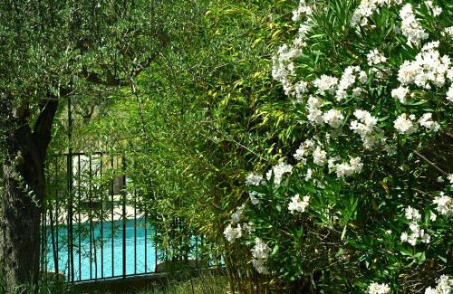 Tulette House | Les Mourguettes