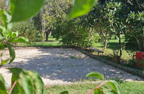 Pernes-les-Fontaines Villa | Les oliviers