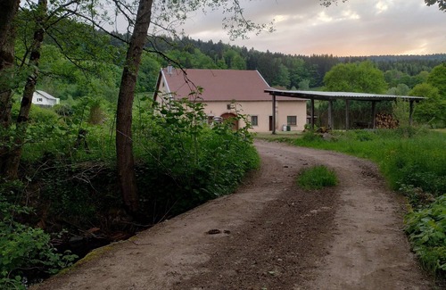 Dommartin-les-Remiremont House | Les Près des Gazons" country house