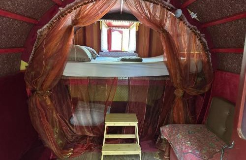 Mougins Cabin | Les roulottes de Bayama - logement insolite avec jacuzzi