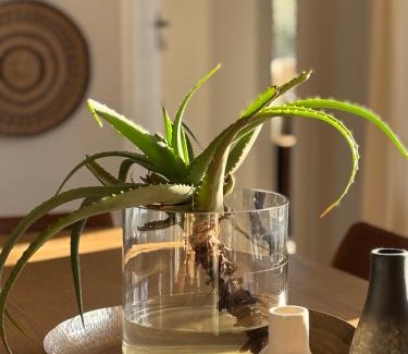 Grabouw Villa | Libertas House, Cheverells Farm