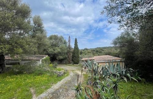 Saint-Florent House | Libres 5 Chambres à Saint Florent Haute Corse Prix à débattre
