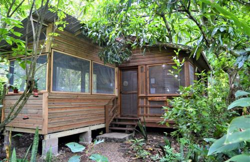 San Ignacio House | Licensed 2 bedroom cabin Close to San Ignacio, local dining, and adventure tours