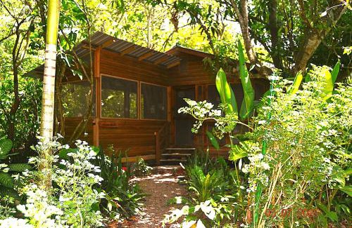 San Ignacio House | Licensed 2 bedroom cabin Close to San Ignacio, local dining, and adventure tours