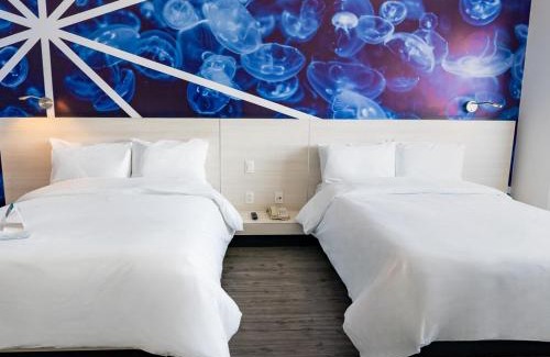 Oaxaca Hotel | Life Hotel